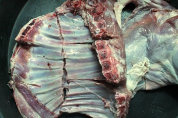 Cut lamb2